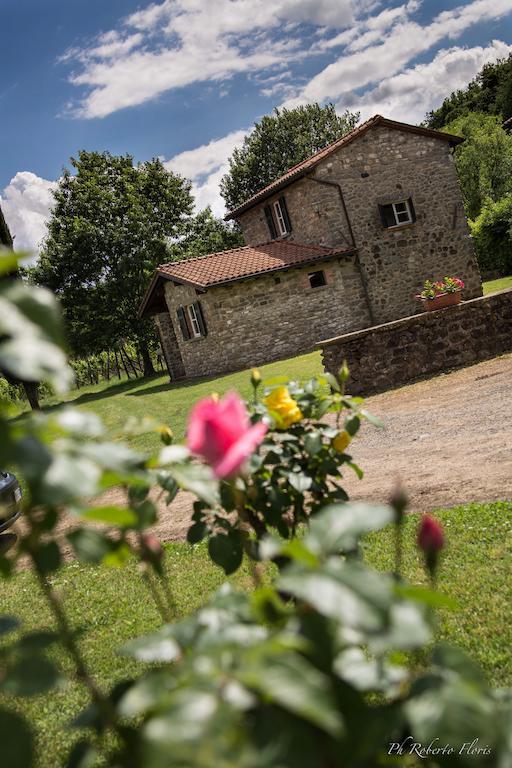 Coriana Apartments & Villas Mulazzo エクステリア 写真